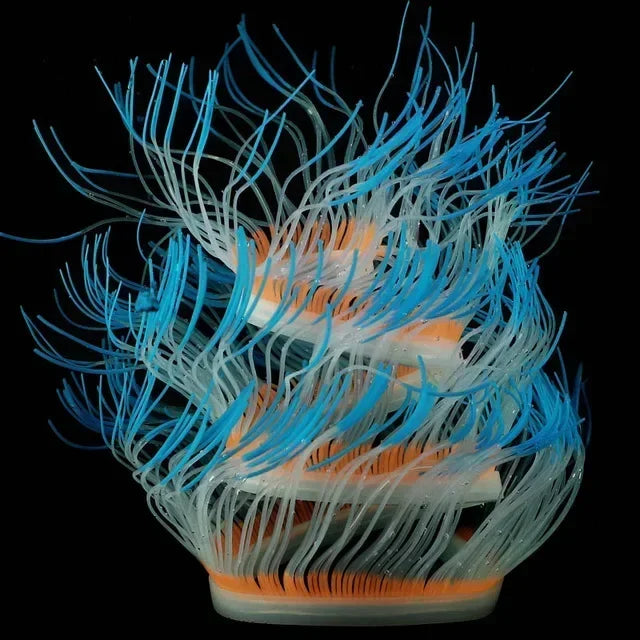 Aquarium Luminous Sea Anemone
