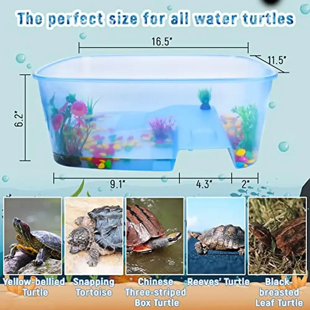 Turtle Aquarium Starter Kit