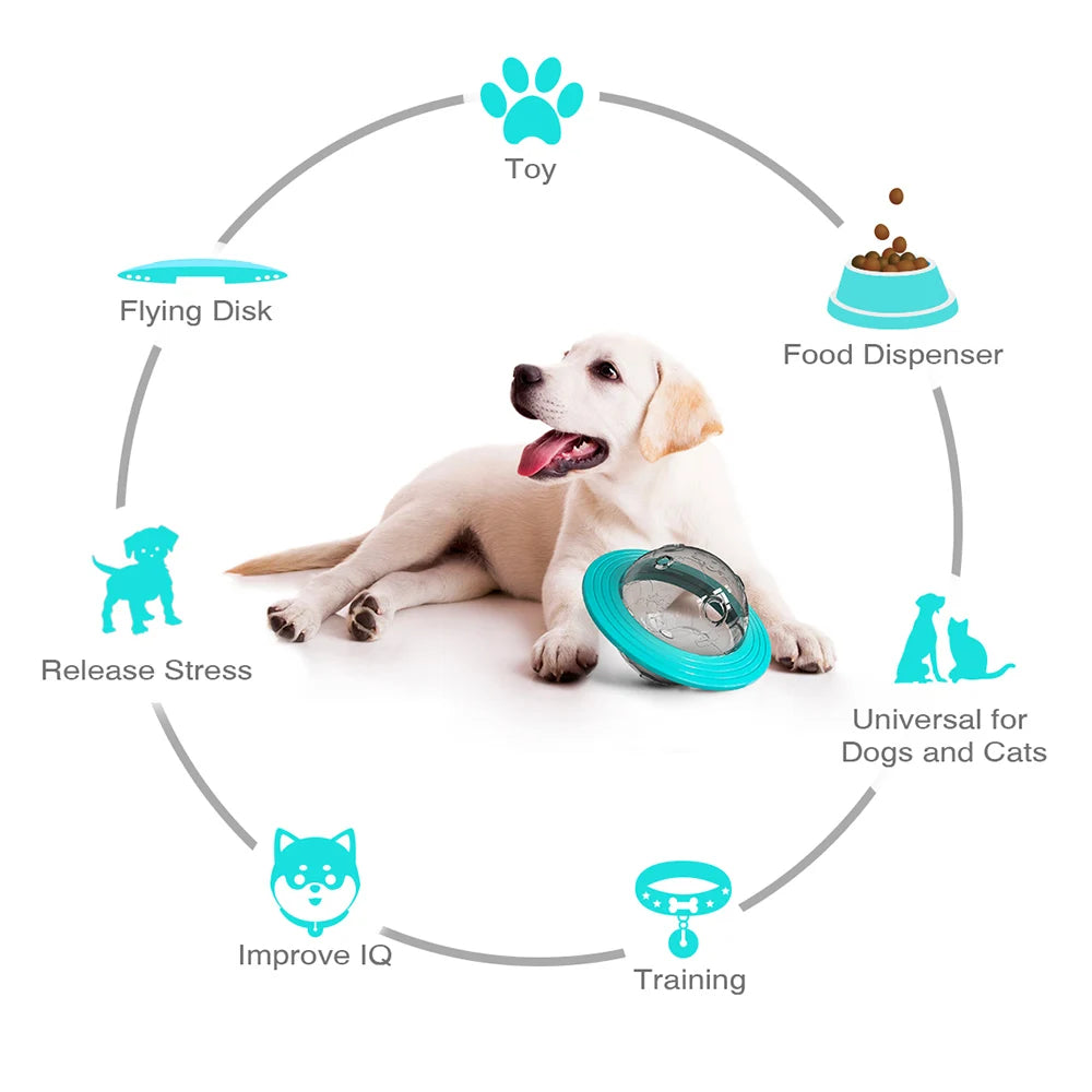 Dog Interactive Food Leaking Dispensing Treat Ball
