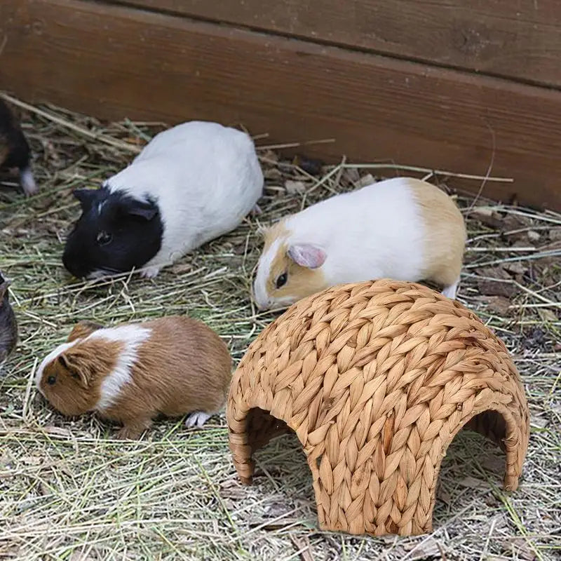 Grass Hideout