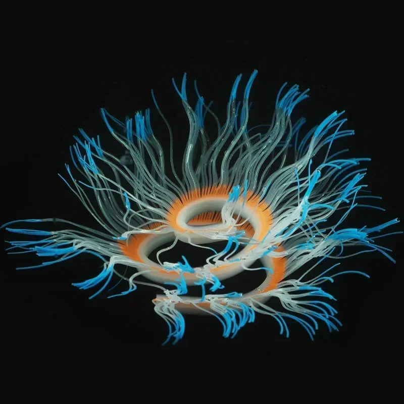 Aquarium Luminous Sea Anemone