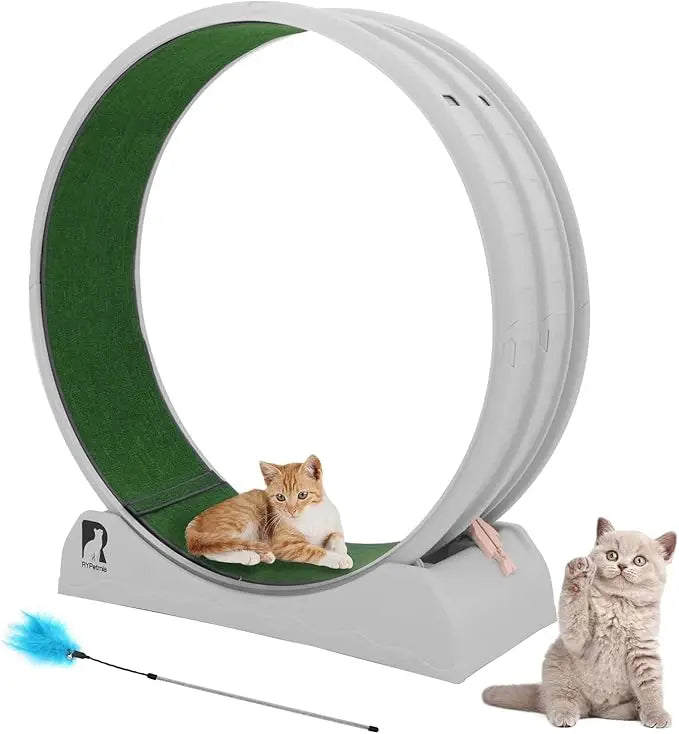 Cat Exercise Wheel
