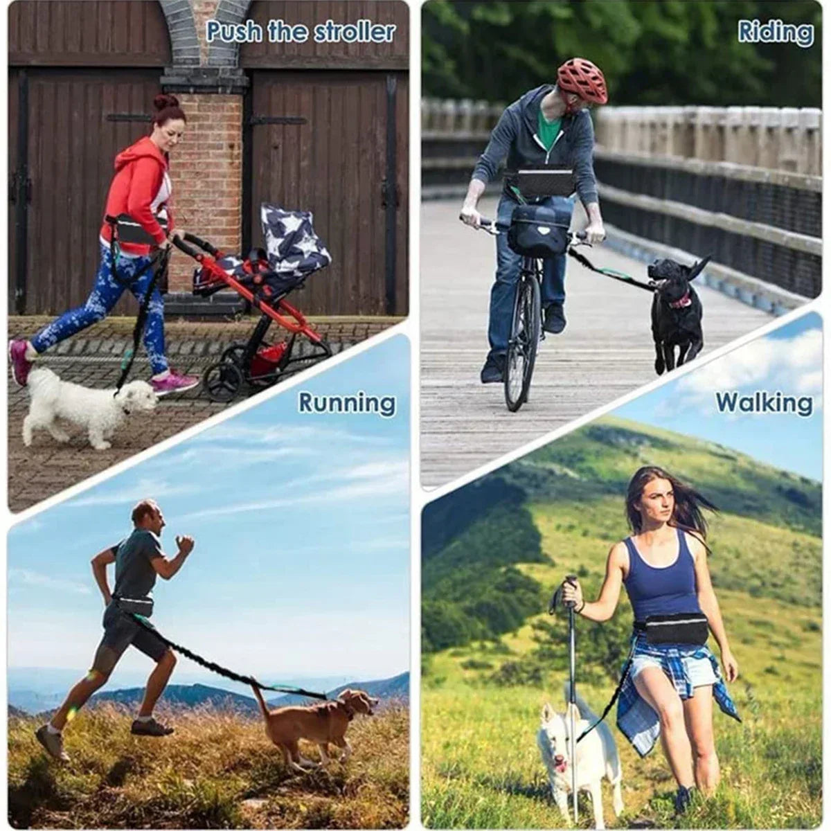 Hands Free Dog Leash for Running or Walking