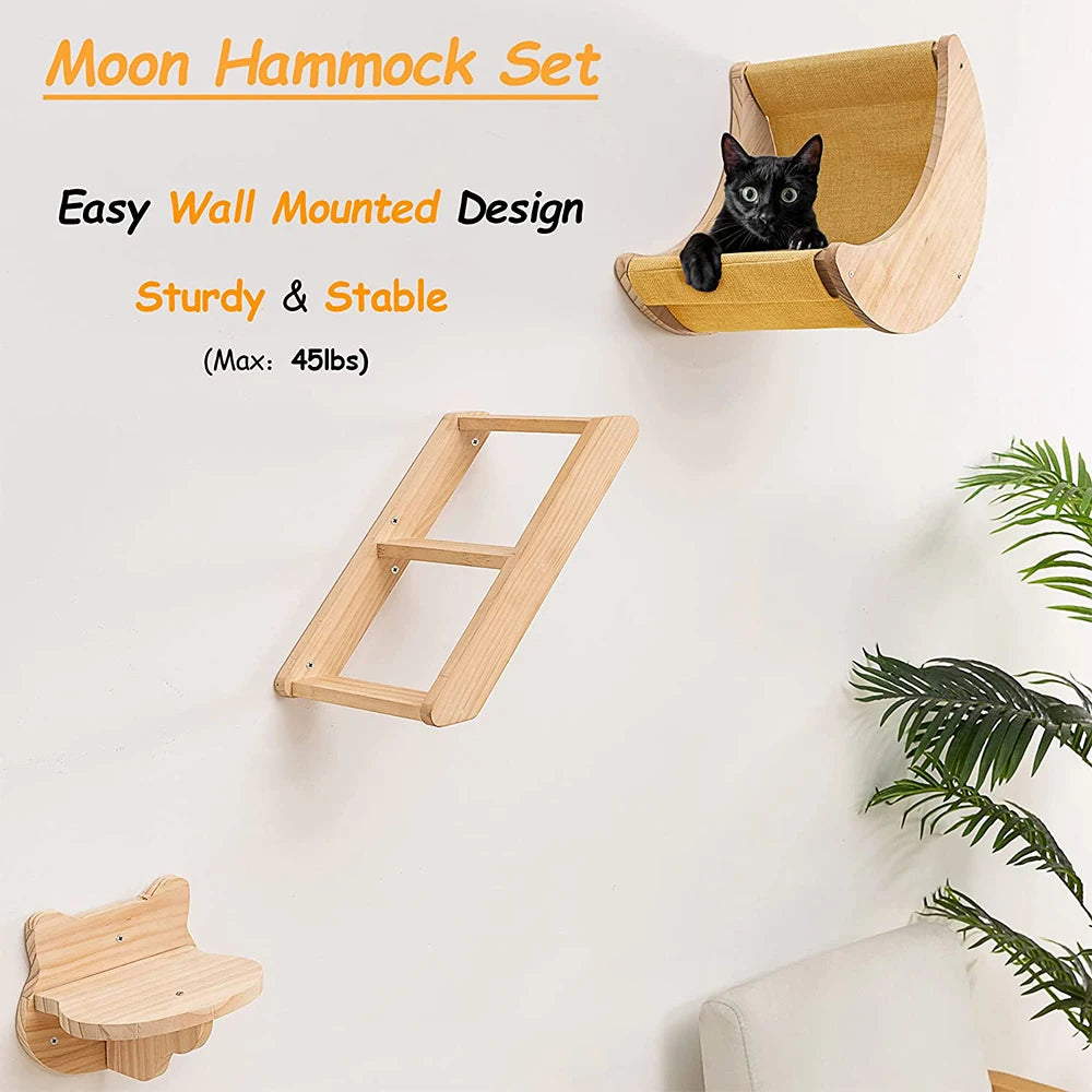 Cat Shelf Wall