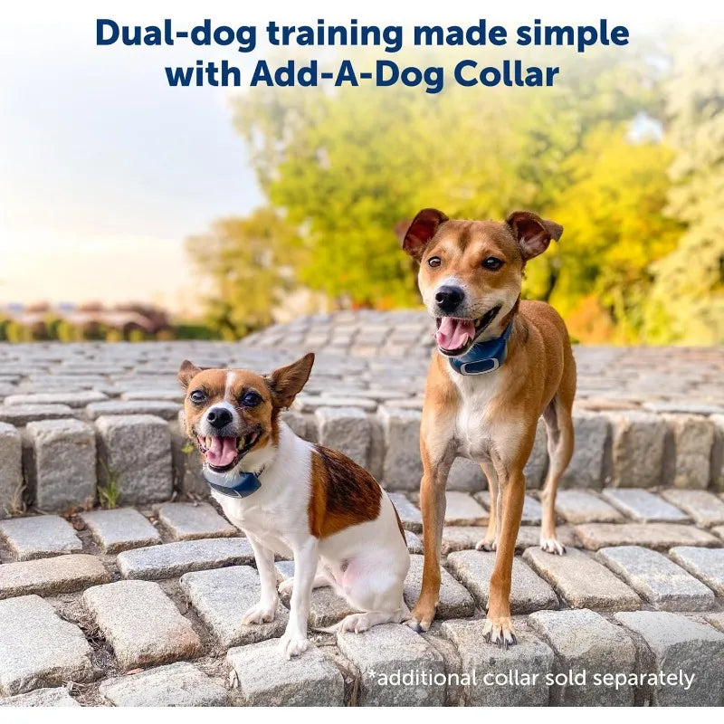 300 Yard Remote Training Collar