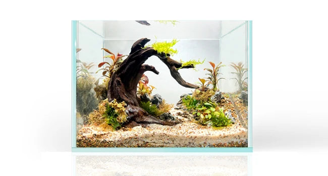 Aquarium Rocks