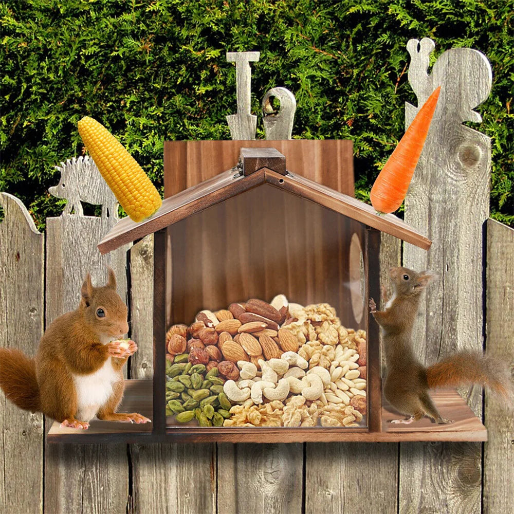 Squirrel Feeder