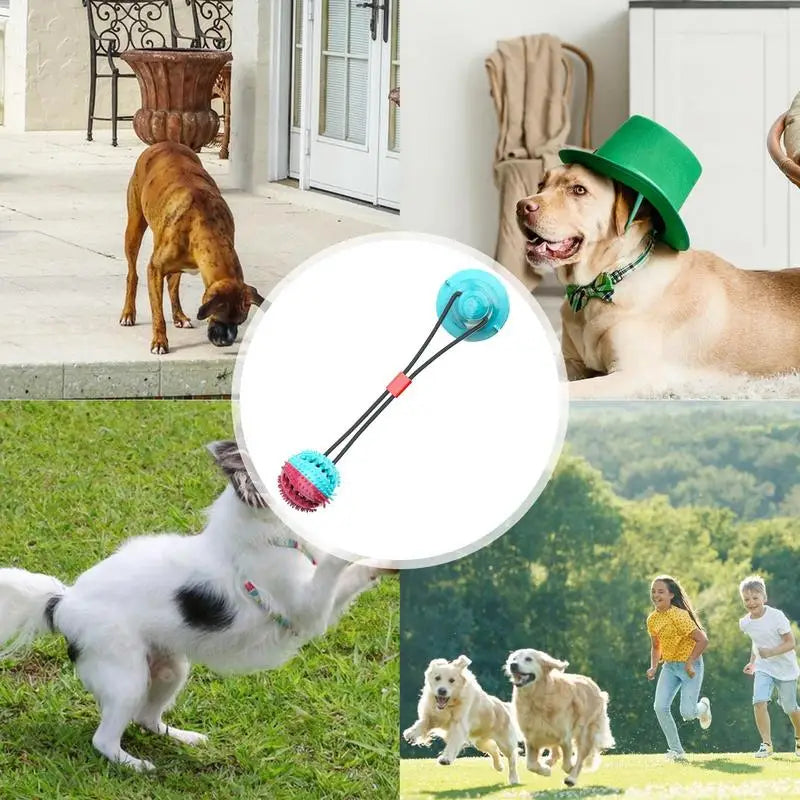 Chew Toys For Dogs