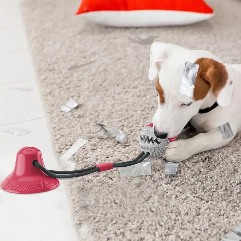Chew Toys For Dogs