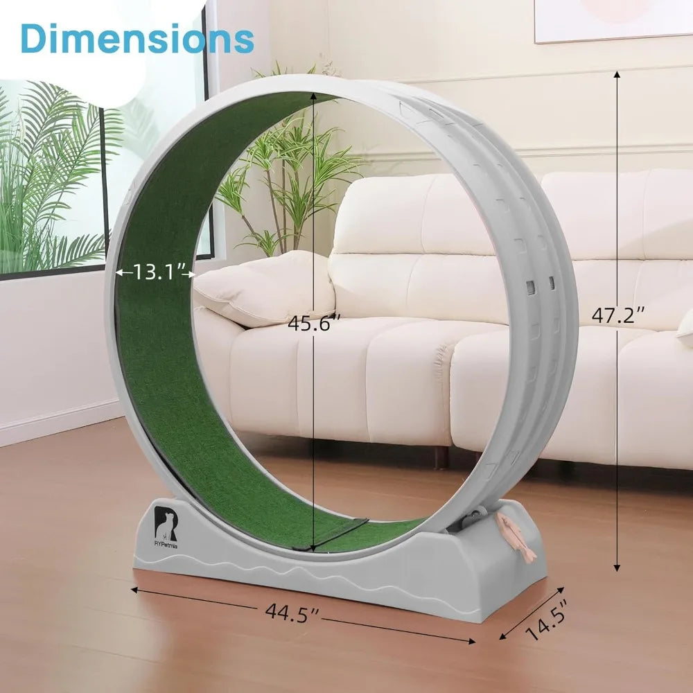 Cat Exercise Wheel