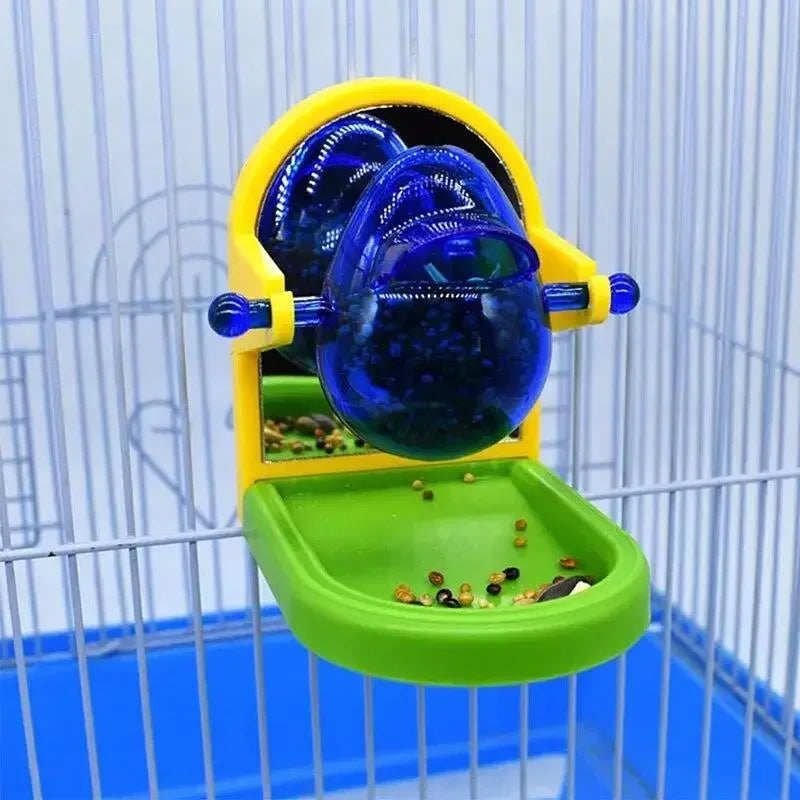 Bird Cage Feeder Foraging