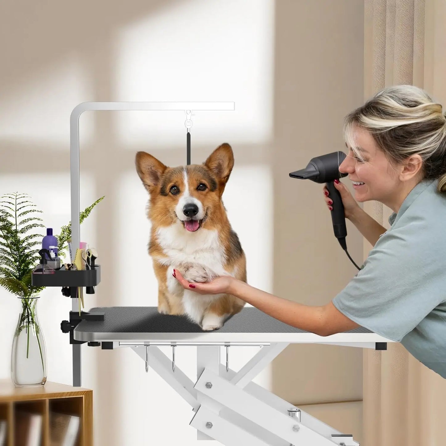 Hydraulic Pet Grooming Table