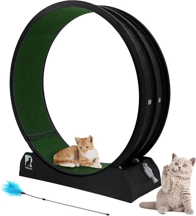 Cat Exercise Wheel
