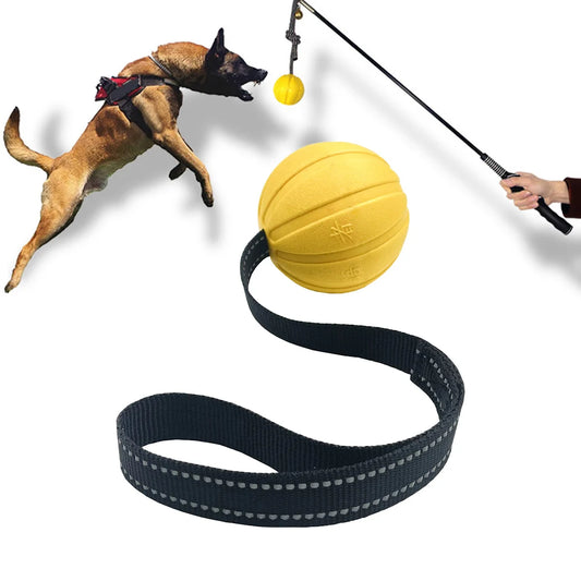 Ball On a Rope