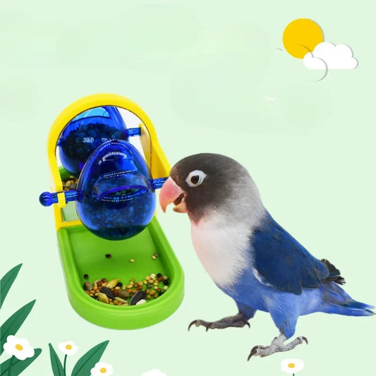 Bird Cage Feeder Foraging