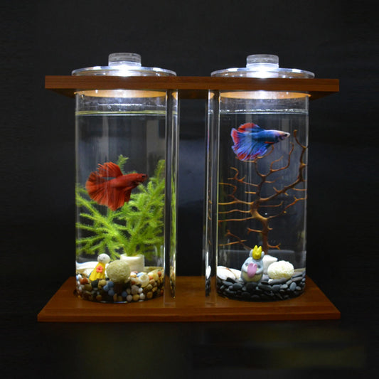 Mini Fish Tank