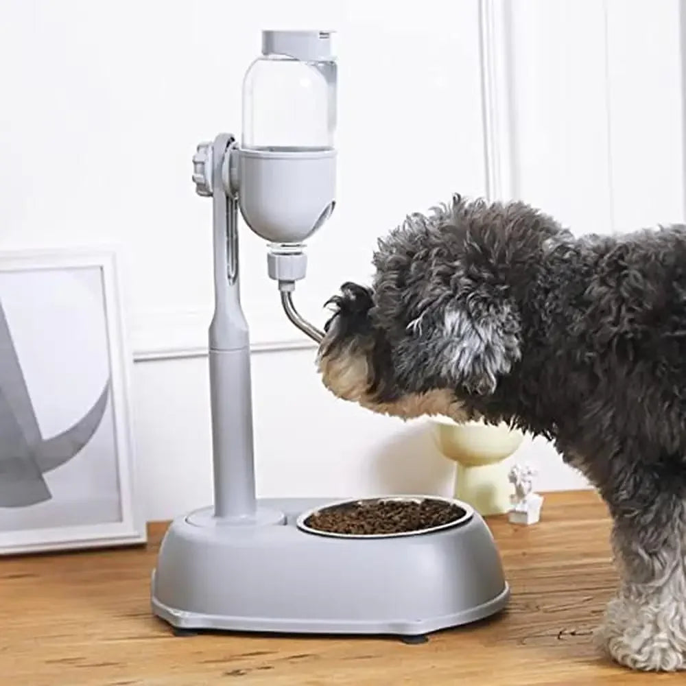 Detachable Water Dispenser/Feeder Bowl