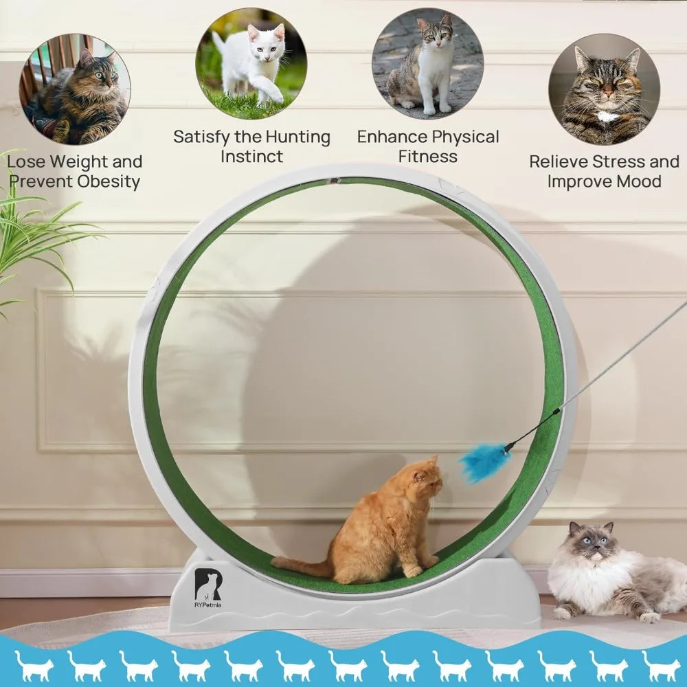 Cat Exercise Wheel
