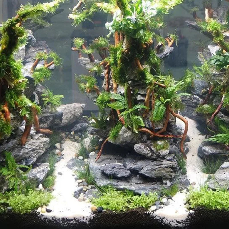 Aquarium Natural Driftwood