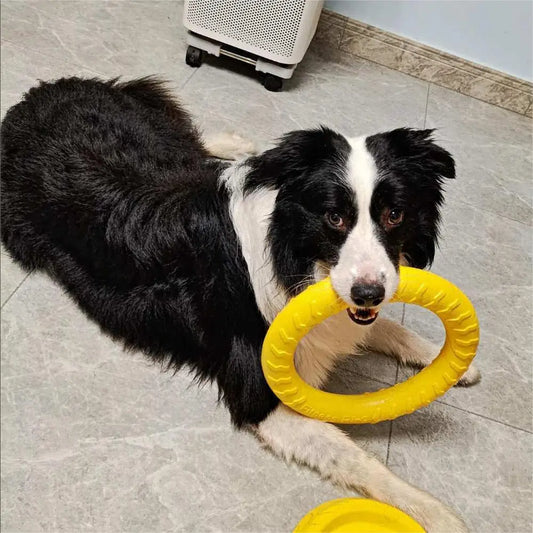 Dog Ring Frisbeed Toys