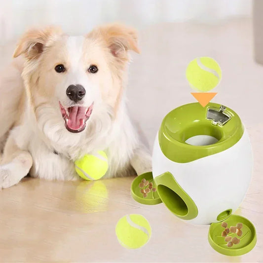 Interactive Ball Launcher