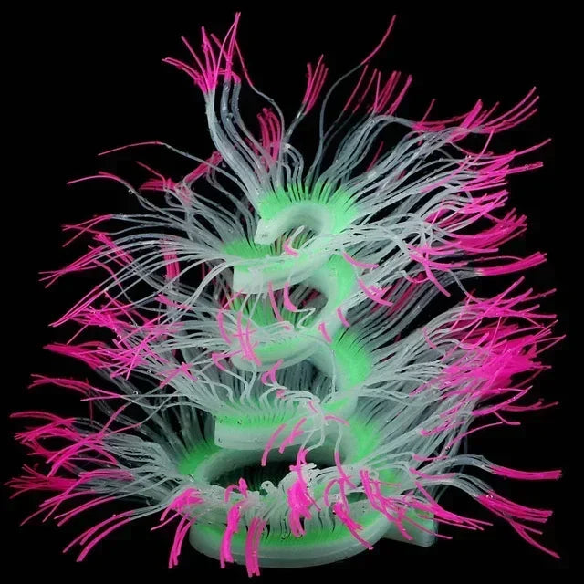 Aquarium Luminous Sea Anemone