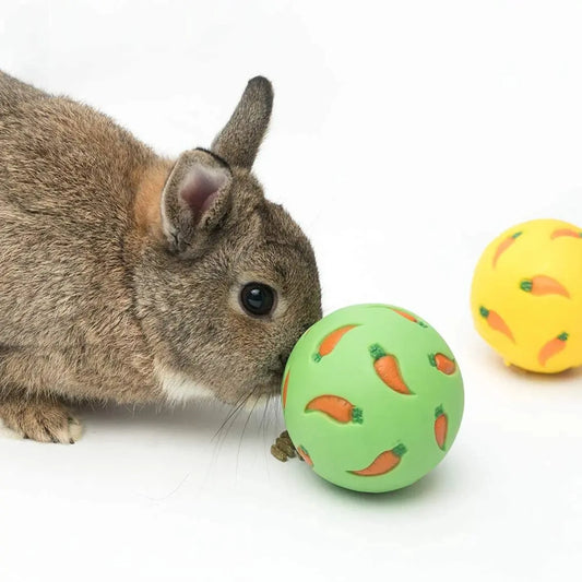 Interactive Toy Snack Ball Bite Resistant
