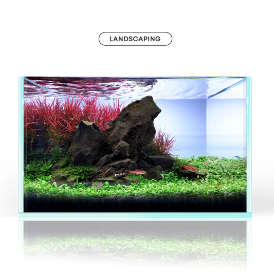 Aquarium Rocks