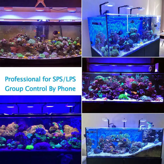 Reef Light Aquarium