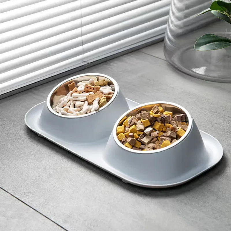 Stainless Steel Double Bowl
