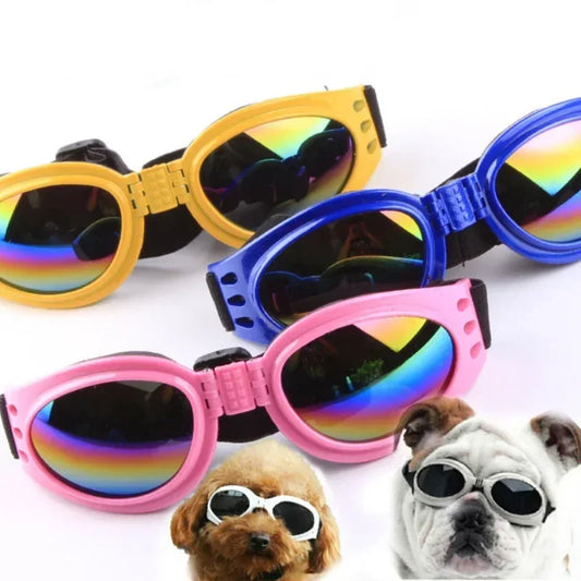 Sunglasses For Small, Medium, & Large Dogs