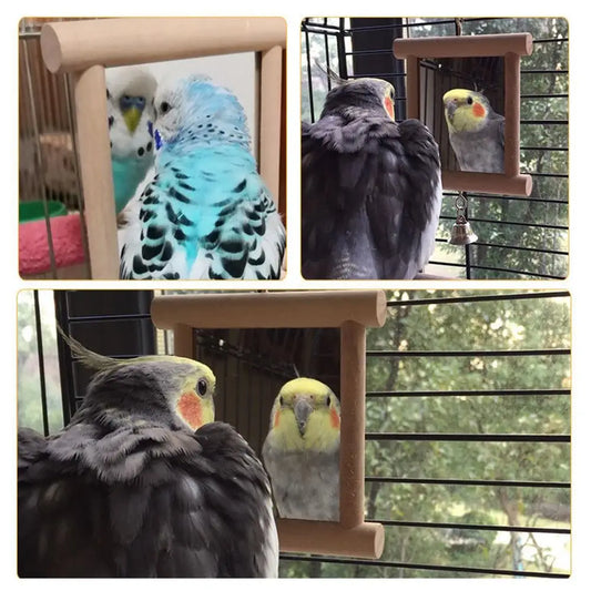 Mirror With Bell
