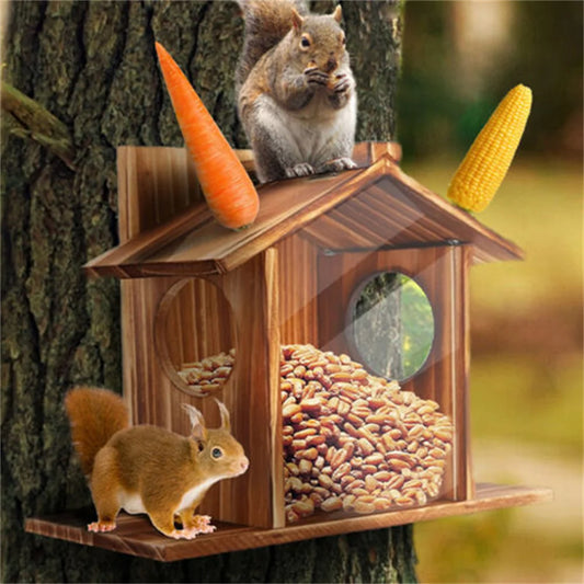 Squirrel Feeder