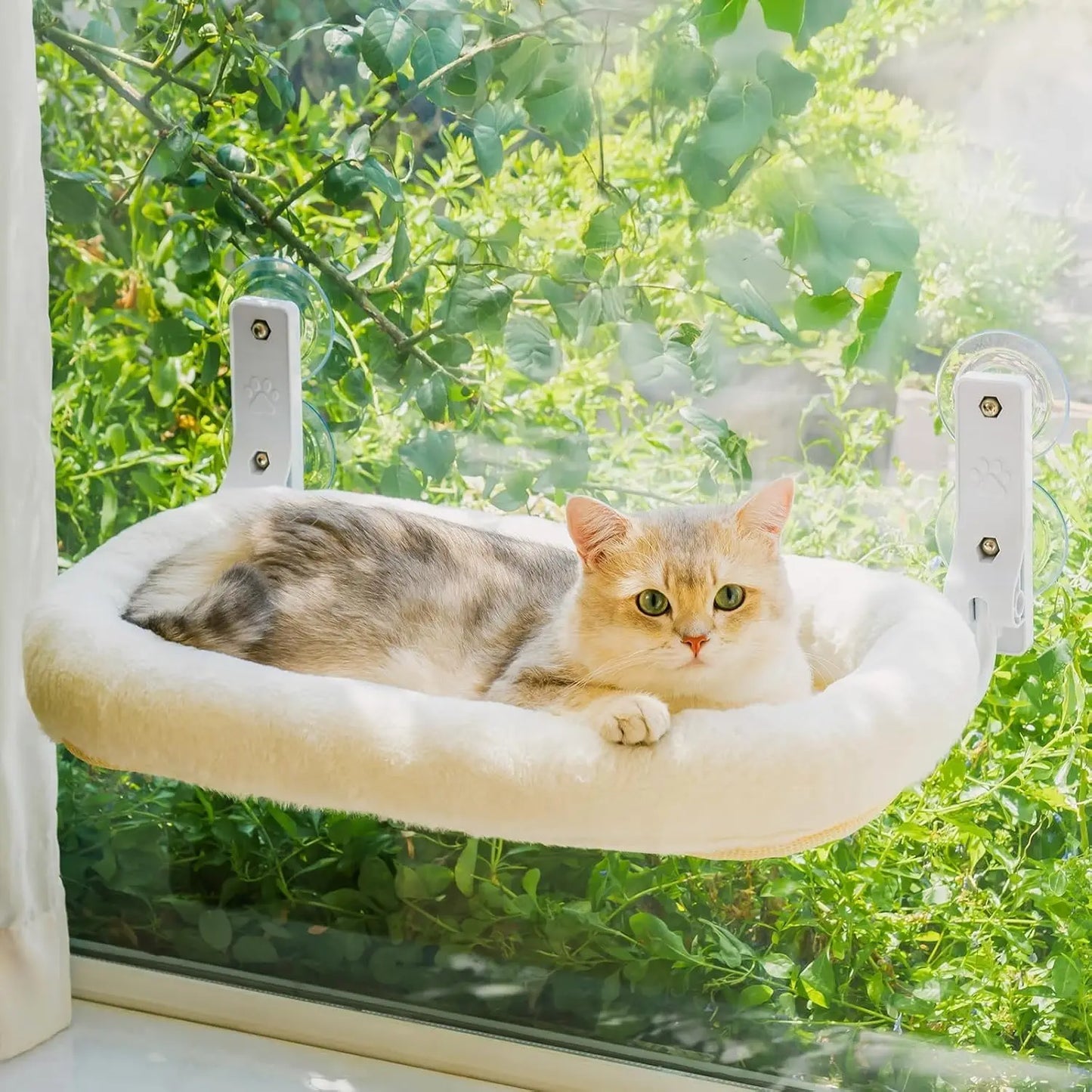 Cat Window Perch with 4 Strong Suction Cups