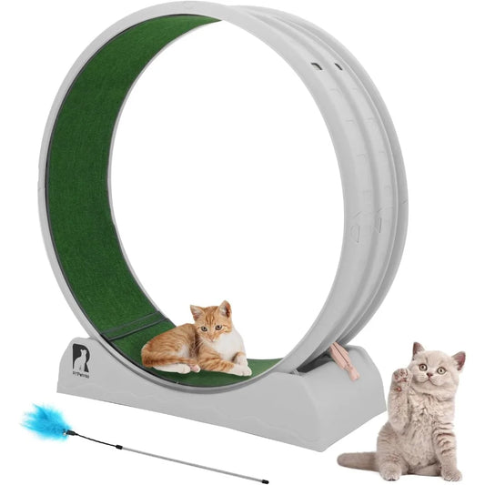Cat Exercise Wheel