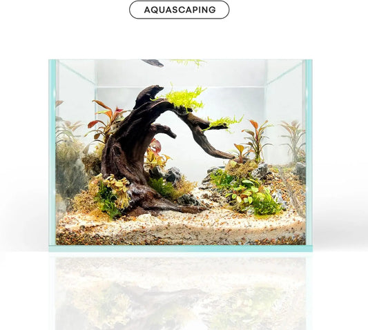 Driftwood Aquarium Model