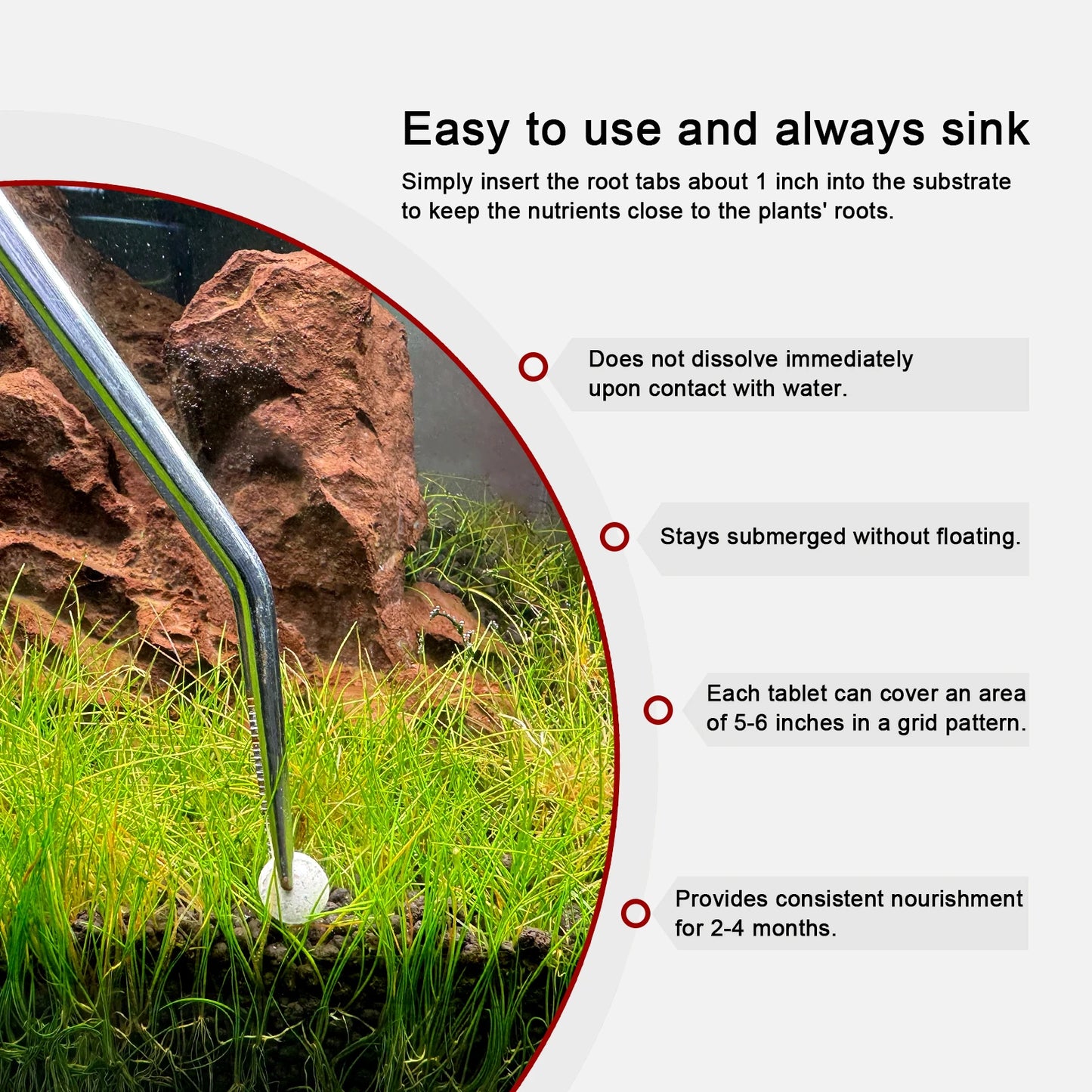 Freshwater Aquarium Plant Fertilizer