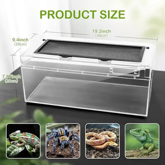 Reptile Terrarium Kit