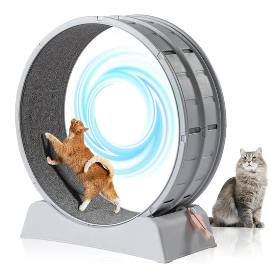 31-Inch Treadmill for cats