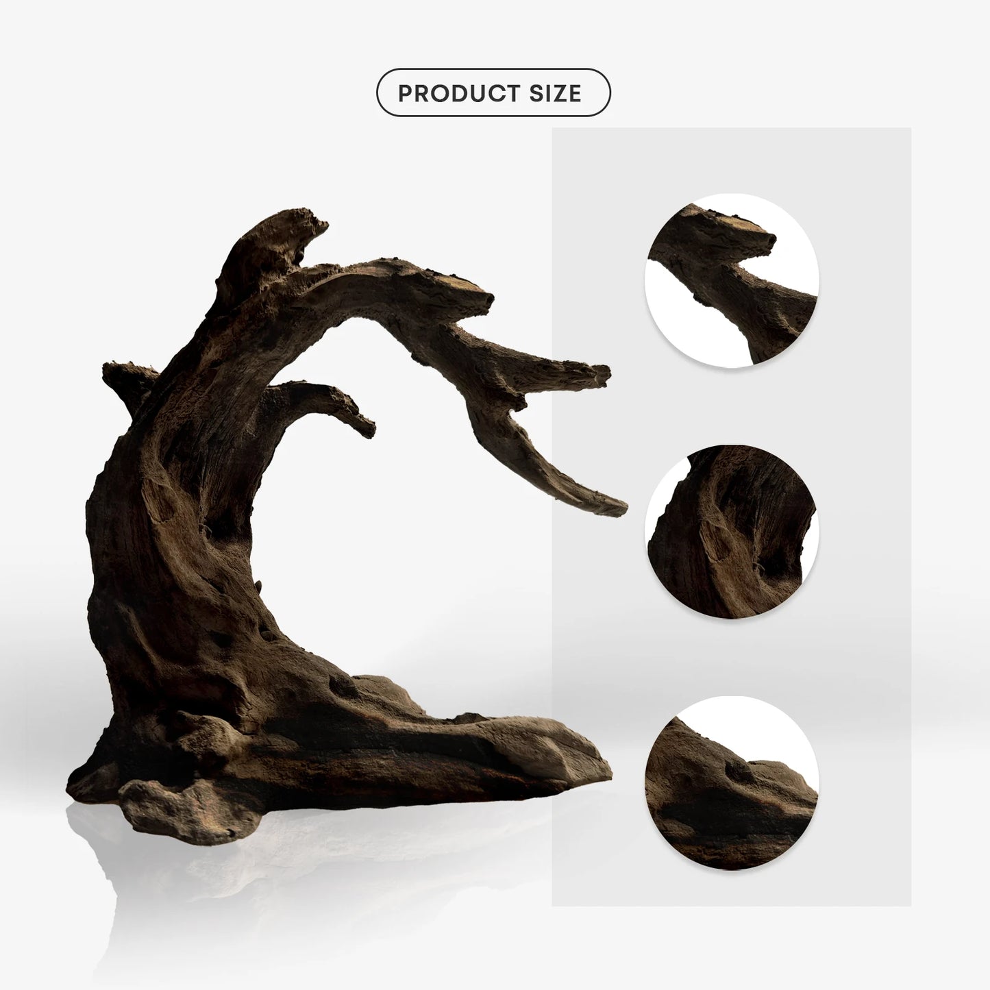 Driftwood Aquarium Model