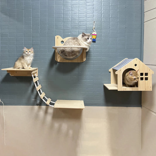 Wall Mounted Cat Condo