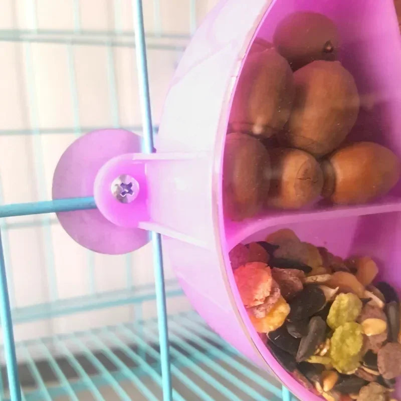 Foraging Food Box for Birds