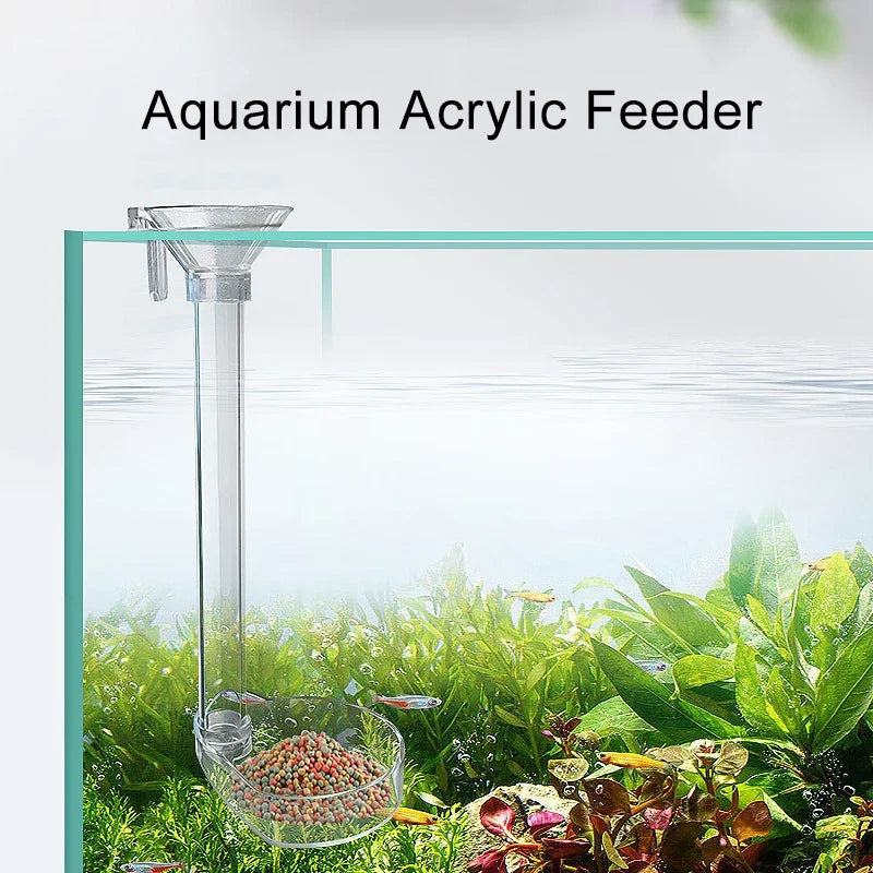 Acrylic Aquarium Fish Feeder