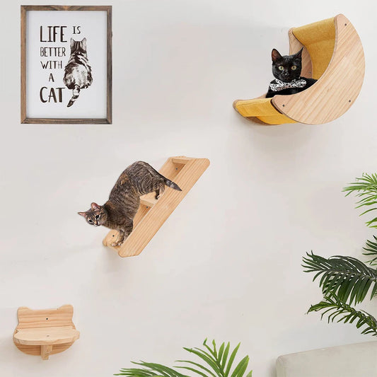 Cat Shelf Wall