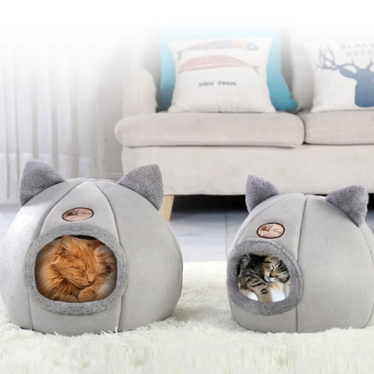Cat bed