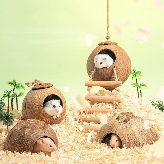 Natural Small Pet Coconut Hideout House