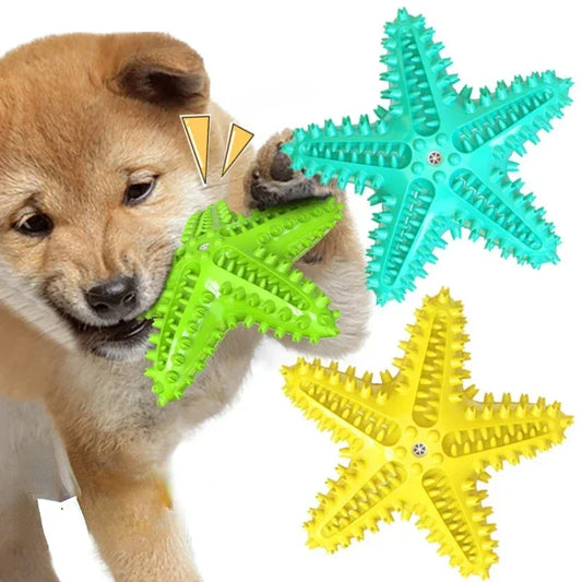 Starfish Interactive Rubber Toys