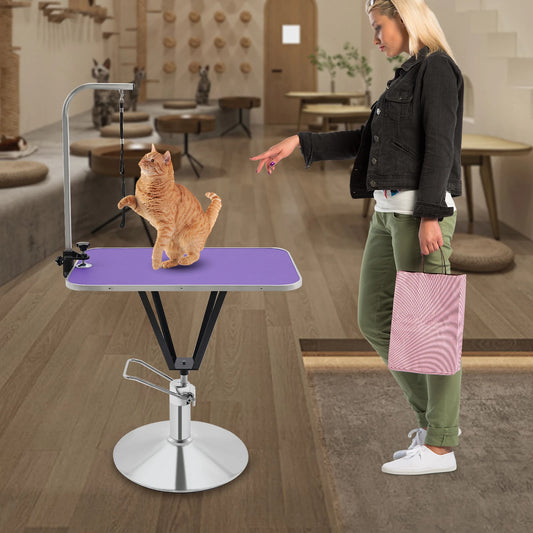 Hydraulically Lifting Animal Grooming Table