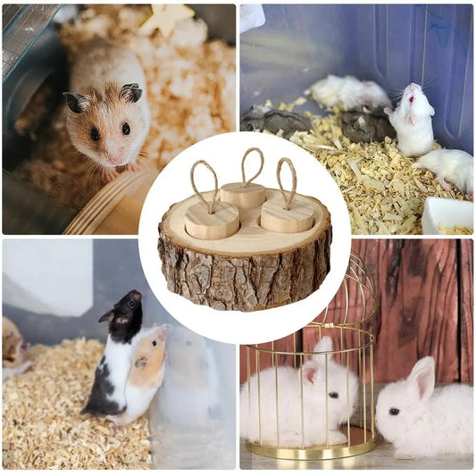 Wooden Interactive Enrichment Treat Dispenser