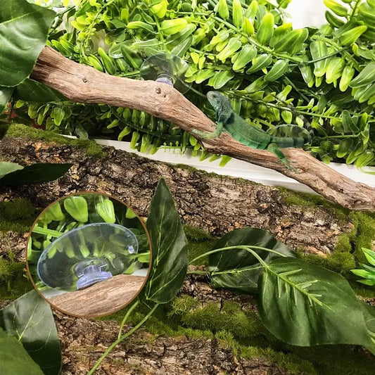 Climbing Branch
